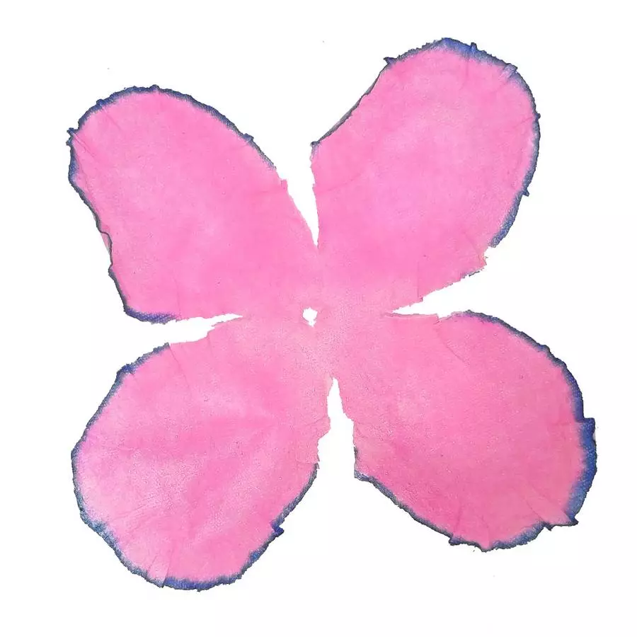 Заг-ка для розы YZ-19 розовой с син.кантом 4-кон. малый кругл. 8-9,3см 2890шт/кг фото 1