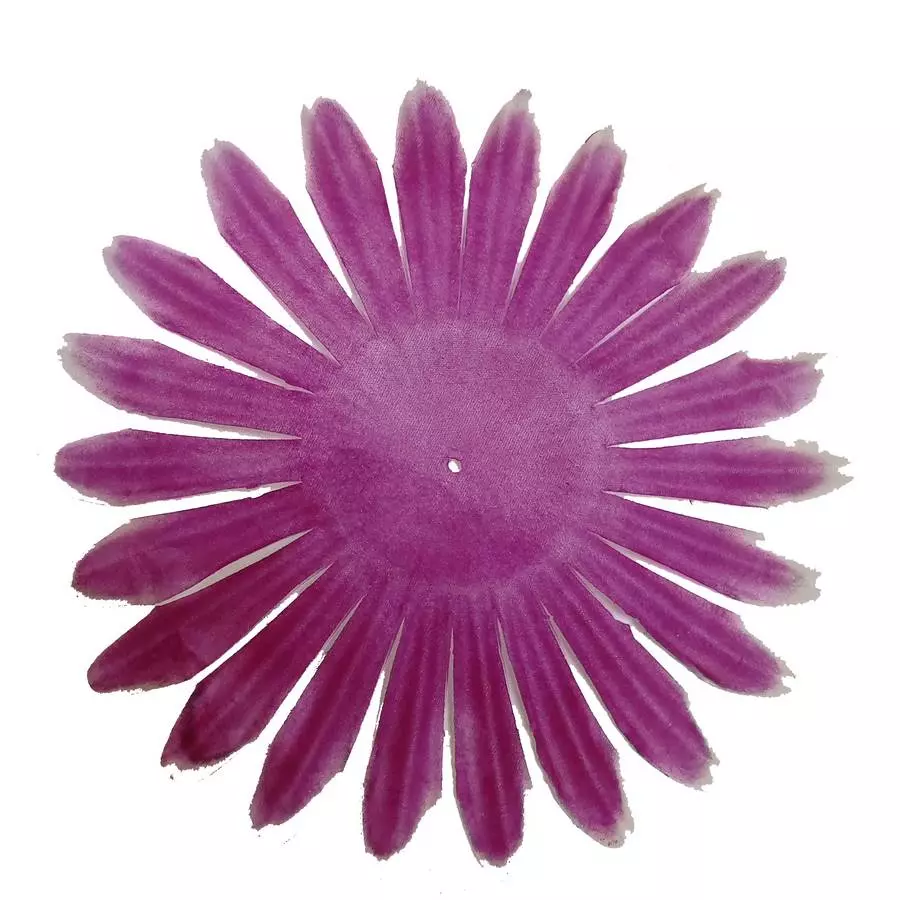 Заг-ка для хризантемы YZ-11 фиолетов с бел. кантом 17см 681шт/кг фото 1