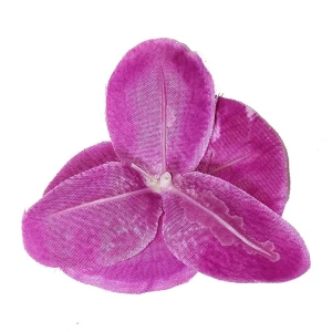 . Продаётся Головка орхидеи круглый Фаленопсис 10-11 см 1м606