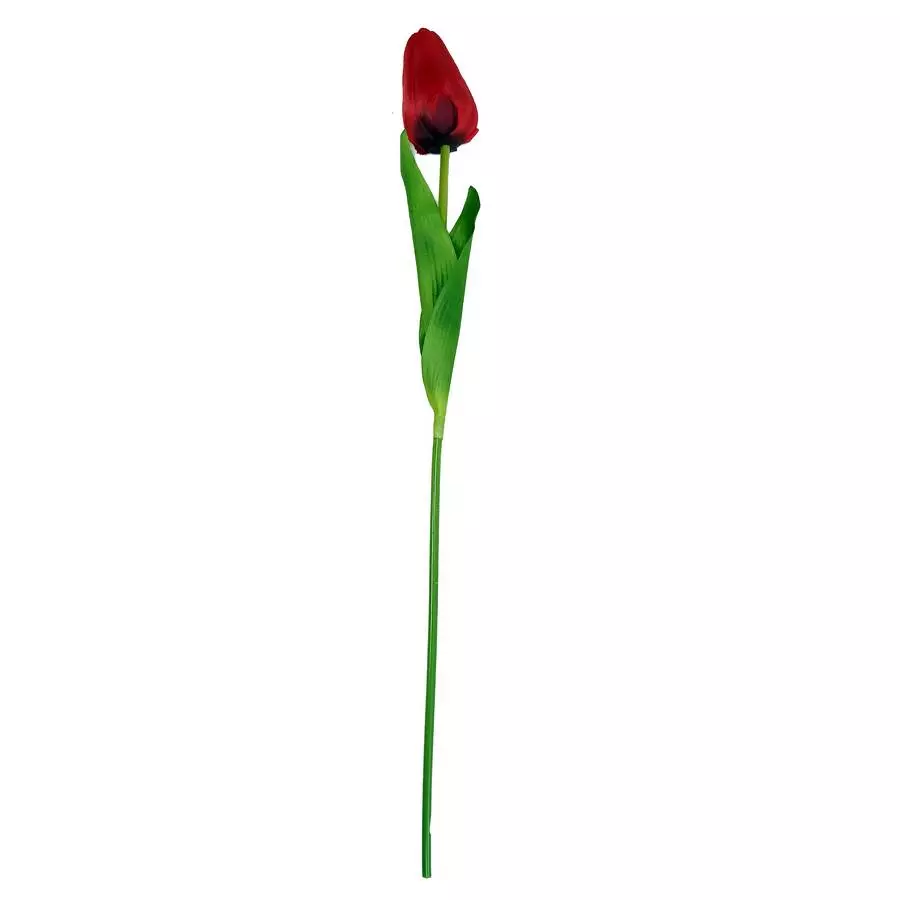 Тюльпан одиночный 6x8,5см с двойным листом 60см фото 2