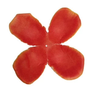 Фотография Заг-ка для розы YZ-3 оранжевой с жёлт.кантом 1-й сл. 4-кон. 12-14см 1364шт/кг