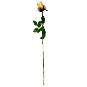 Фотография Интерьерная роза с шипами с024