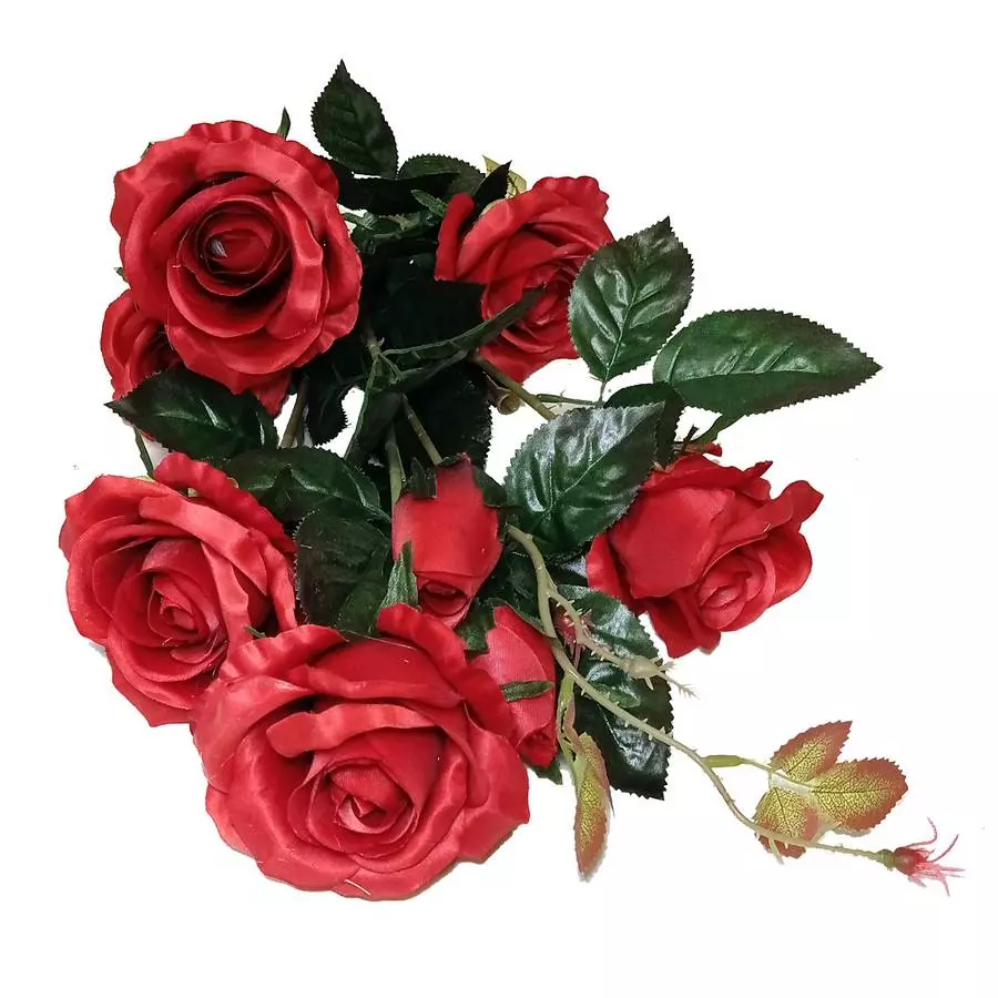 Фотография Букет с 7 розами и 2 бутона КРАСНАЯ 76см