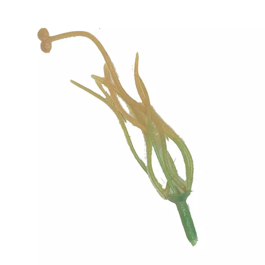 Фотография Добавка тычинка лилии жёлтая 10см 1815шт/кг