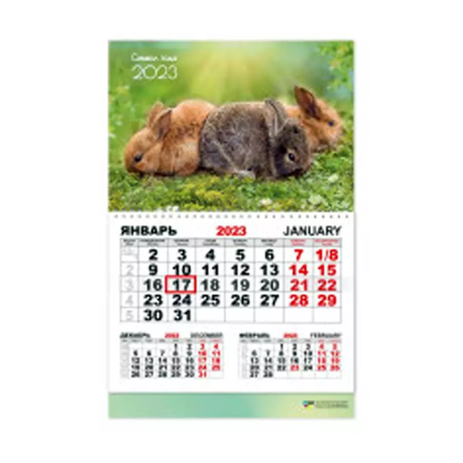 Календарь настенный 1-блочный 2023 "символ года" + бегунок 7490 фото 1