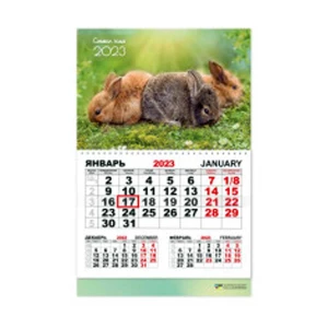 Фотография Календарь настенный 1-блочный 2023 "символ года" + бегунок 7490