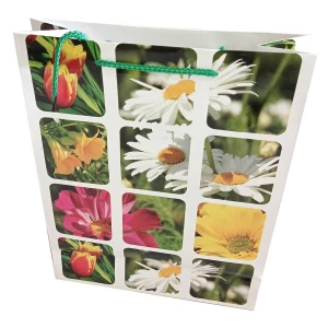 Купить в Великих Луках Подарочный пакет Цветы 26x34см