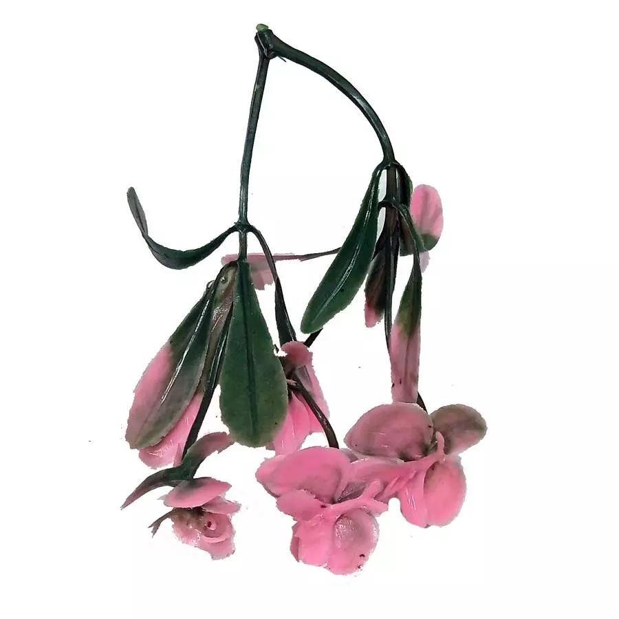 Добавка на ветку сквозняк двойная с розовыми цветочками 11,5см 418шт/кг фото 2