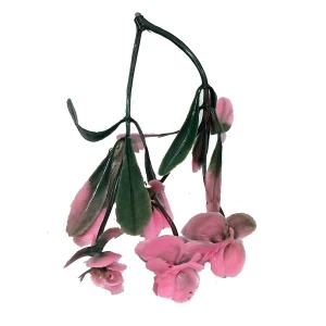 Заказываем  Добавка на ветку сквозняк двойная с розовыми цветочками 11,5см 418шт/кг