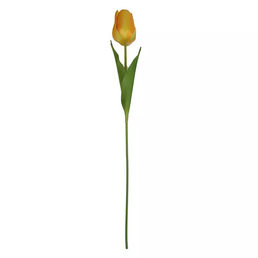 Тюльпан одиночный 6x8,5см с двойным листом 60см фото 9