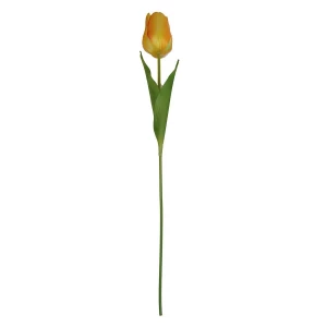 Заказываем  Тюльпан одиночный 6x8,5см с двойным листом 60см