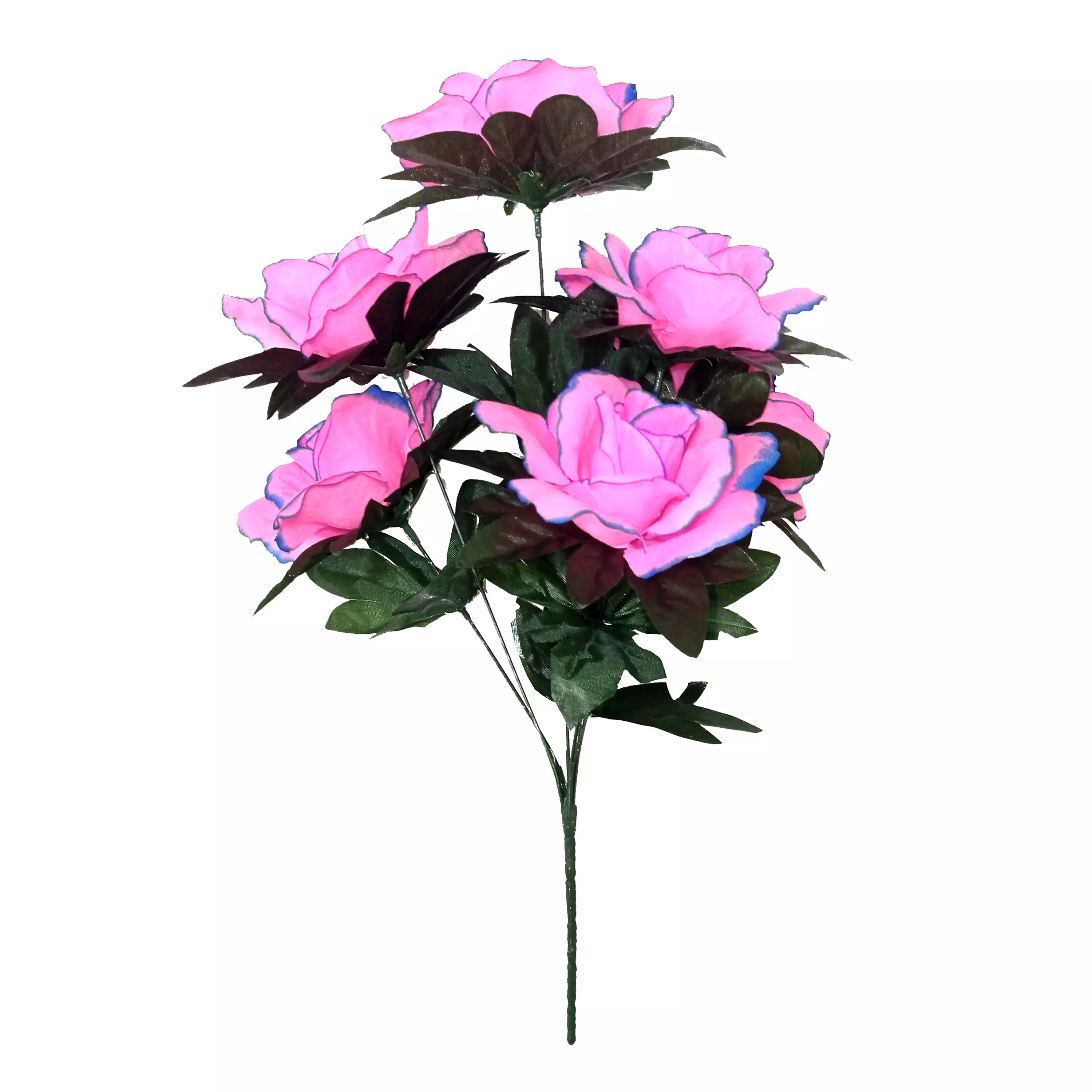 Фотография Букет с розами 6 голов 49см 480-772