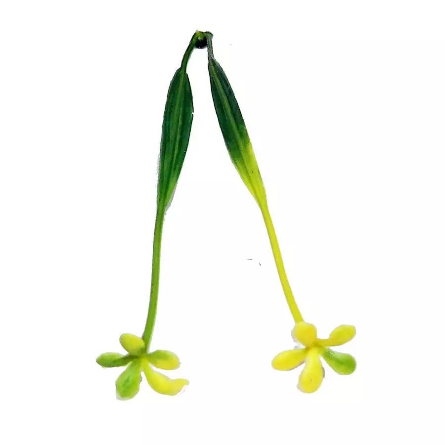 Фотография Добавка на ветку сквозняк двойная с жёлтыми цветочками 13см 1333шт/кг